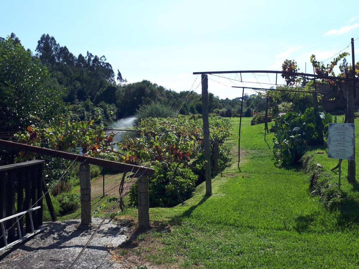 Dream Corner By Waterfalls, 20 Min To Oporto, By Porto With Love Lda Parada (Porto) Exterior foto