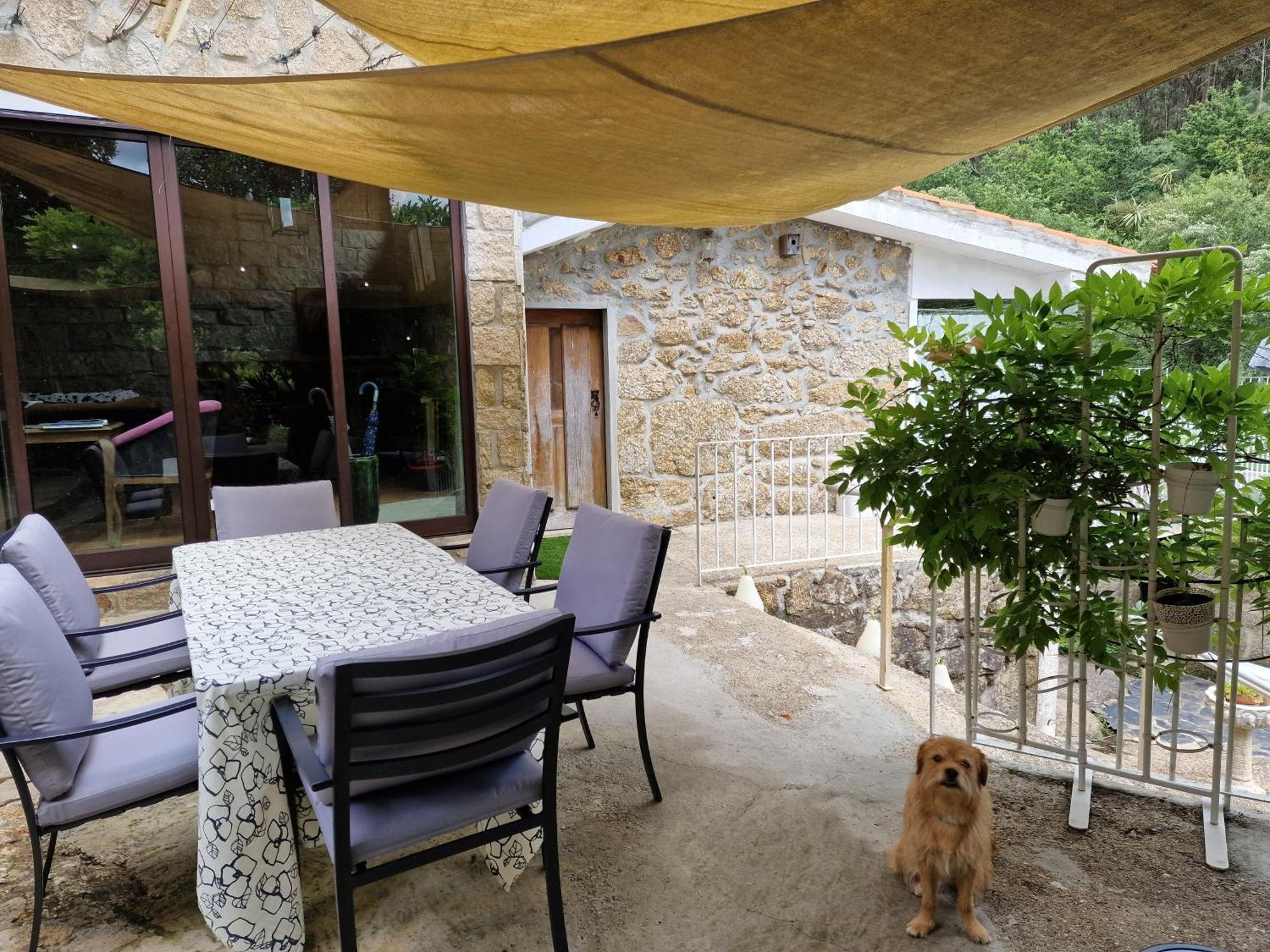 Dream Corner By Waterfalls, 20 Min To Oporto, By Porto With Love Lda Parada (Porto) Exterior foto
