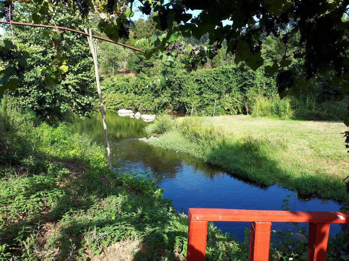 Dream Corner By Waterfalls, 20 Min To Oporto, By Porto With Love Lda Parada (Porto) Exterior foto